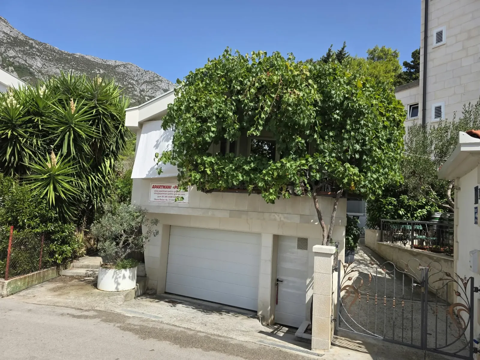 Apartmani Petrić — kuća s vinovom lozom i Biokovom u pozadini
